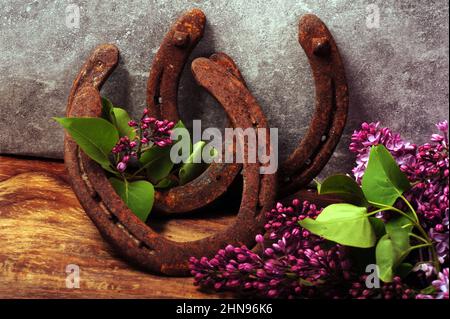 Rostige Hufeisen und Zweige von Fliedern auf Holztisch gegen graue Betonwand. Stockfoto
