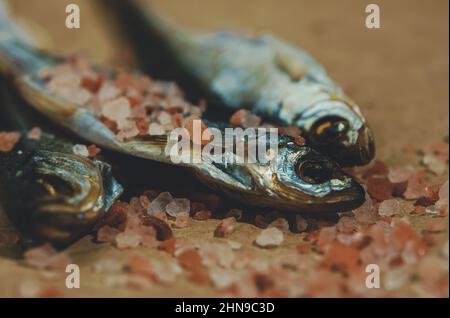 Makroansicht von sonnengetrockneten Fischen. Stockfoto