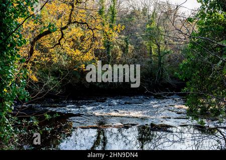 Oily River, Bruckless, County Donegal, Irland im Herbst oder Herbst. Stockfoto