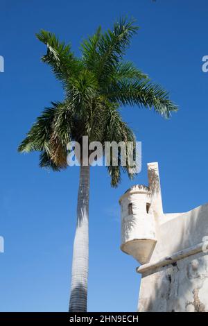 Befestigte Kolonialmauer, Altstadt, UNESCO-Stätte, San Francisco de Campeche, Bundesstaat Campeche, Mexiko Stockfoto