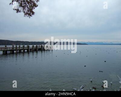 Blick über den Ammersee auf die weißen Berge der Alpen. Rechts ein hölzerner Steg und einige Enten und Vögel auf dem stillen Wasser des Sees Stockfoto