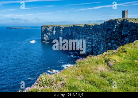 Marwick Head Seevögelkolonie, Festland Orkney, Schottland, Großbritannien Stockfoto