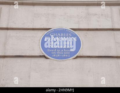 Blaue Plakette von Charles Darwin, University College London, Gower Street. London, Großbritannien, Februar 2022. Stockfoto