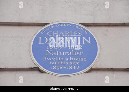 Blaue Plakette von Charles Darwin, University College London, Gower Street. London, Großbritannien, Februar 2022. Stockfoto