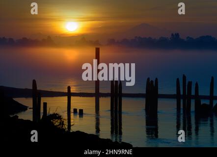 Fraser River Foggy Sonnenaufgang. Am frühen Morgen Nebel auf dem Fraser River, British Columbia. Mt. Baker am Horizont. Stockfoto