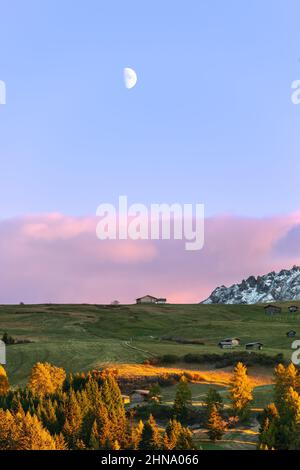 Atemberaubender Sonnenuntergang und ein junger Mond über dem Hochland der Seiser Alm, Italien (Vertikales Foto) Stockfoto