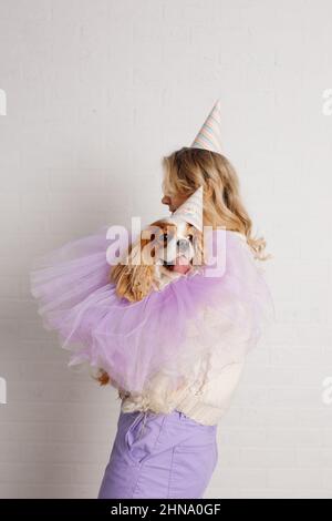 Ein hübscher Kavalier, King Charles Spaniel, mit einem weichen, angenehmen Gesichtsausdruck, gekleidet in einen fliederfarbenen, flauschigen Umhang und einen Partyhut, der seine Zunge hervorsticht Stockfoto