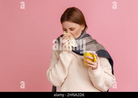 Porträt einer ungesunden kranken, blonden Frau, eingewickelt in einen Schal, stehend mit einer Tasse Tee, mit laufender Nase und weißem Pullover. Innenaufnahme des Studios isoliert auf rosa Hintergrund. Stockfoto