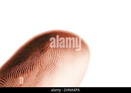 Nahaufnahme der roten Fingerabdruck-Scan-Textur auf weißem Hintergrund Stockfoto