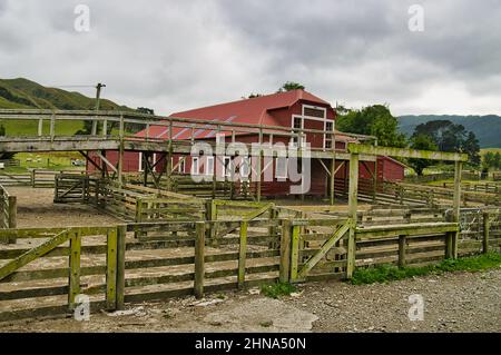Der traditionelle Scherenstall der Battle Hill Farm, einer Schaffarm in Pauatahanui, Porirua, Greater Wellington, Nordinsel, Neuseeland Stockfoto