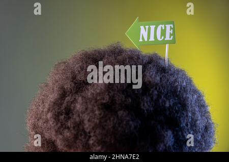 Porträt eines unbekannten Hipster mit Afro-Frisur mit Party-Requisiten mit schöner Inschrift im Haar, Feier des Feiertages. Innenaufnahmen im Studio, isoliert auf farbigem Neonlicht-Hintergrund. Stockfoto