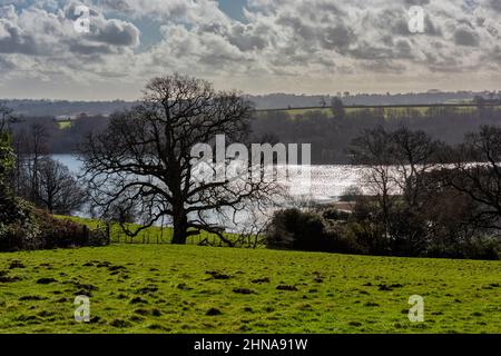 Bewl Water Reservoir in der Nähe von Wadhurst, Tunbridge Wells in Kent, England Stockfoto