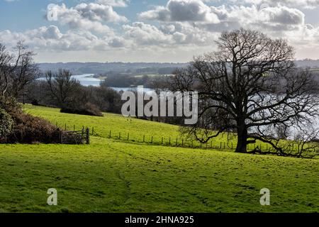 Bewl Water Reservoir in der Nähe von Wadhurst, Tunbridge Wells in Kent, England Stockfoto