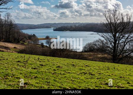 Bewl Water Reservoir in der Nähe von Wadhurst, Tunbridge Wells in Kent, England Stockfoto