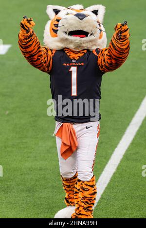 Sonntag, 13. Februar 2022, 2022; Inglewood, CA USA; Cincinnati Bengals Maskottchen Who Dey während des Super Bowl LVL gegen die Los Angeles Rams im SoFi Stadium. Die Rams schlugen die Bengalen mit 23:20. (Kim Hukari/Bild des Sports) Stockfoto