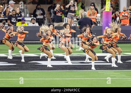 Sonntag, 13. Februar 2022, 2022; Inglewood, CA USA; Cincinnati Ben Gals Cheerleader treten beim Super Bowl LVL gegen die Los Angeles Rams im SoFi Stadium auf. Die Rams schlugen die Bengalen mit 23:20. (Kim Hukari/Bild des Sports) Stockfoto