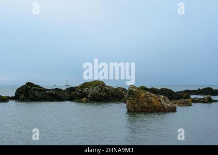 Blick über den Firth of Forth am Elie Harbour an der Küste von Fife, Schottland. Stockfoto