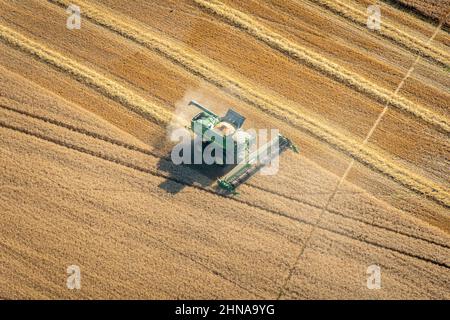 Luftbild von Ackerland an der Ostküste von Maryland Stockfoto