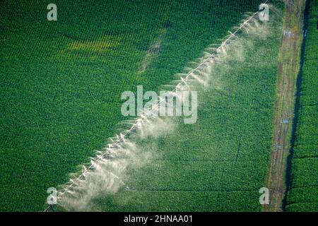 Luftbild von Ackerland an der Ostküste von Maryland Stockfoto