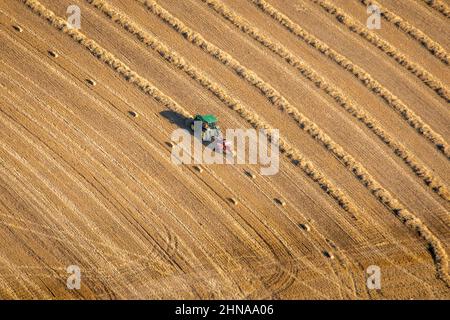 Luftbild von Ackerland an der Ostküste von Maryland Stockfoto