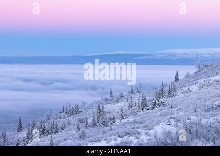 Der Venusgürtel bei Sonnenaufgang steht im Kontrast zum Nebel über dem Eagle River und dem Knik Arm in Südzentralalaska. Stockfoto