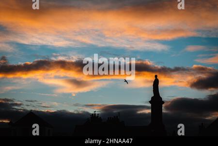 Sonnenuntergang in Tynemouth mit einer Möwe am orangefarbenen und blauen Himmel, mit der Silhouette der Lord Collingwood-Statue Stockfoto