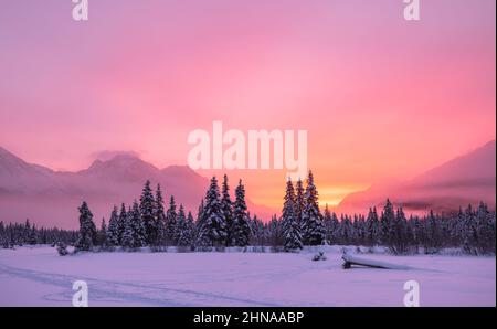 Wintersonnengang im Eagle River Valley in Südzentralalaska. Stockfoto