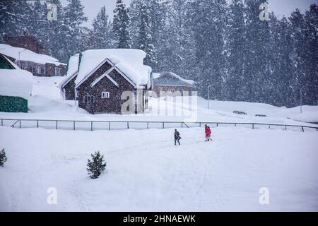 Gulmarg, Indien. 15th. Februar 2022. Besucher wandern während eines Schneefalls in Gulmarg, Kaschmir, durch ein schneebedecktes Feld. Kredit: SOPA Images Limited/Alamy Live Nachrichten Stockfoto