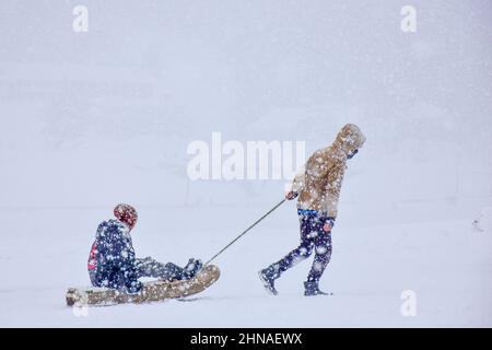 Gulmarg, Indien. 15th. Februar 2022. Ein indischer Tourist wird gesehen, wie er während eines Schneefalls in Gulmarg, Kaschmir, eine Schlittenfahrt genießt. Kredit: SOPA Images Limited/Alamy Live Nachrichten Stockfoto