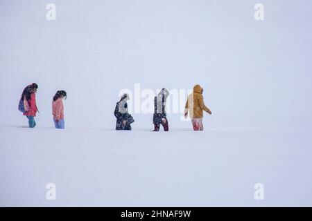 Gulmarg, Indien. 15th. Februar 2022. Besucher wandern während eines Schneefalls in Gulmarg, Kaschmir, durch ein schneebedecktes Feld. (Foto von Saqib Majeed/SOPA Images/Sipa USA) Quelle: SIPA USA/Alamy Live News Stockfoto