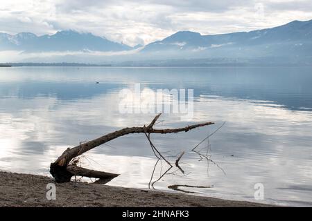 Alte Filiale am Strand des Lac du Bourget in Savoy (Frankreich) Stockfoto