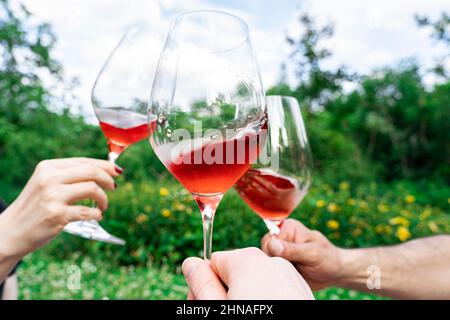 Drei Freunde oder Familienmitglieder stoßen beim Picknick an und stoßen Gläser mit Rotwein an Stockfoto