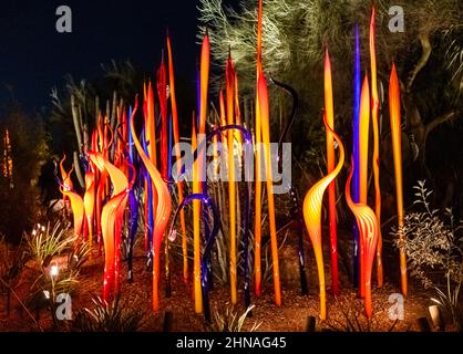 Chihuly im Garten, Desert Fiori, 2021 in der Nacht Stockfoto