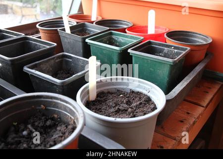 Pflanzen Sie im Frühling in einem Schuppen Töpfe, quadratisch und rund, mit Kompost, fertig zum Hinzufügen von Samen. Stockfoto