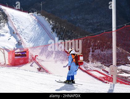 (220215) -- PEKING, 15. Februar 2022 (Xinhua) -- Huai Wei fährt Ski zu seinem Einsatzort im Nationalen Alpinen Skizentrum im Bezirk Yanqing, Peking, Hauptstadt von China, 14. Februar 2022. Huai Wei, stellvertretender Chefarzt der Notaufnahme des dritten Krankenhauses der Universität Peking, leistet zusammen mit vier anderen Kollegen derzeit seinen Dienst als Skiarzt für das Ski-Alpin-Event der Olympischen Winterspiele 2022 in Peking im Nationalen Ski-Zentrum in Zhangjiakou in der Provinz Hebei. Huai ist stationiert, um jedem Athleten, der während des Rennens verletzt wurde, sofort medizinische Hilfe zu leisten. Bis d Stockfoto