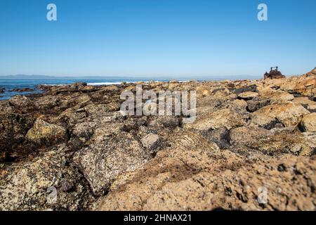 Die SS Dominator landete 1961 in der Nähe von Rancho Palos Verdes in Südkalifornien und rostet seitdem. Stockfoto