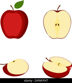 Apfel, ganze Frucht, Hälften und Scheibe, Vektorgrafik Stock Vektor