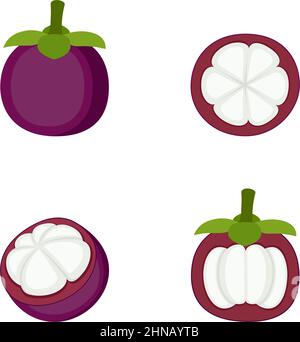 Mangostan, ganze Frucht und Hälften, Vektorgrafik Stock Vektor