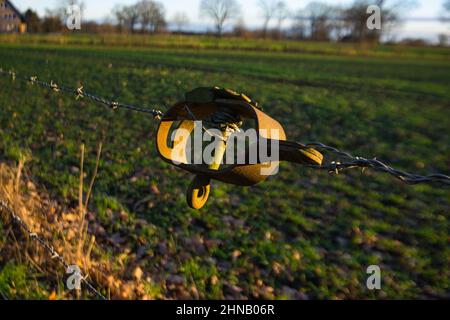 Nahaufnahme des Stacheldrahtes vor dem Feld Stockfoto