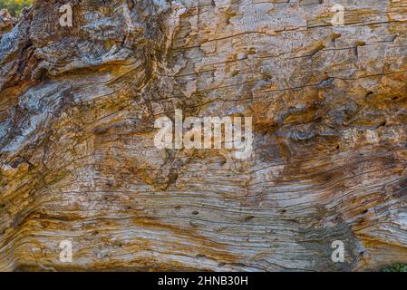 Baum geknackt Holz Textur aus nächster Nähe Stockfoto