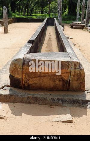 Überreste eines Refektoriums in den Ruinen des Abhayagiri-Klosters in Anuradhapura Stockfoto