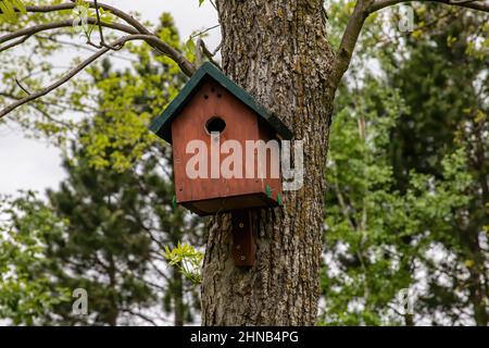 Vogelhaus aus Holz an einem Baum montiert. Stockfoto