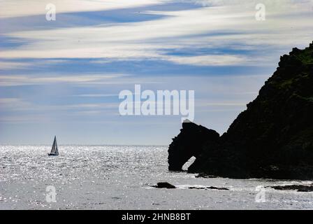 Großbritannien, England, Devonshire, South Hams, Prawl Point. Pferde führen den Bogen in der Nähe von East Prawle auf dem South Devon Coastal Path. Stockfoto