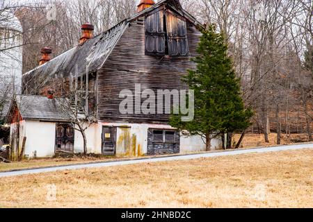 COS in der Nähe der roten Scheune Stockfoto