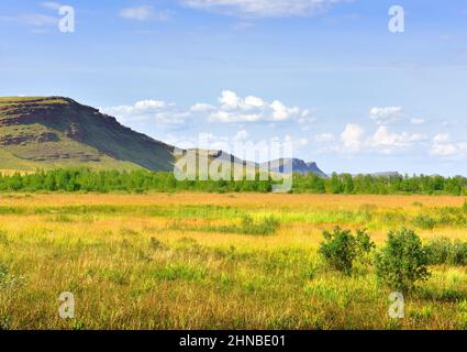 Felsige Klippen in der Steppe im Sommer unter einem blau bewölkten Himmel. Sibirien, Russland Stockfoto