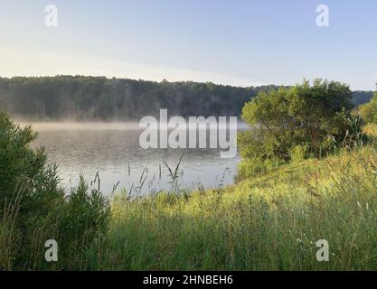 Hohes Gras und Weidenbüsche am verlassenen Ufer des Sees, Nebel kriecht über dem Wasser, dichte Bäume in der Ferne am Horizont, blauer, klarer Himmel. Stockfoto