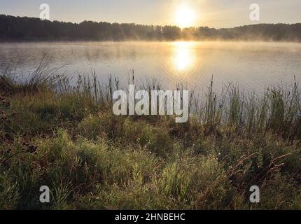 Eine strahlende aufgehende Sonne am Horizont, hohes Gras und Schilf am verlassenen Ufer des Sees, Nebel kriecht über dem Wasser, dichte Bäume in der Ferne Stockfoto