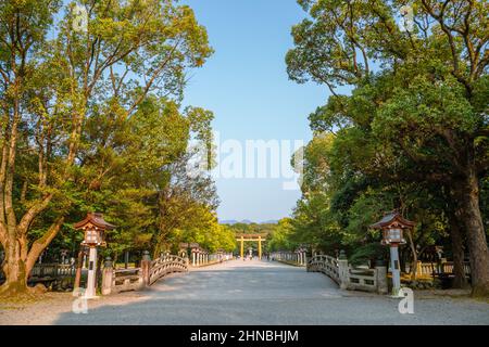 Kashihara Shrine grüne Waldstraße in Nara, Japan Stockfoto