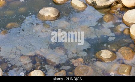 Verschmutztes Wasser mit öliger Oberfläche Stockfoto