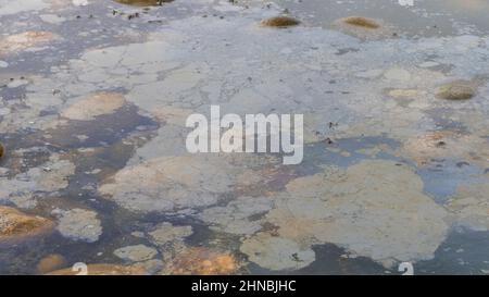 Wasseroberfläche ölverschmutzt Stockfoto